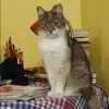 Отзыв от Нелли Васильева